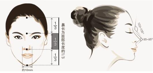 韩式隆鼻假体二段和三段区别在哪里?哪种效果好?